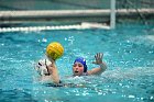 WWPolo vs CC  Wheaton College Women’s Water Polo compete in their sports inaugural match vs Connecticut College. - Photo By: KEITH NORDSTROM : Wheaton, water polo, inaugural